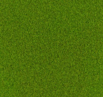 Ковролин Sommer Needlepunch Exposhow Exposhow Spring Green 9631 фото 1 | FLOORDEALER